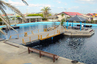 九十九里 海釣りセンター